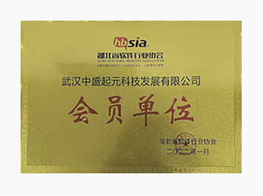 武漢中盛起元科技發(fā)展有限公司